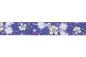 Preview: Ruffwear Front Range Leash Wildflower